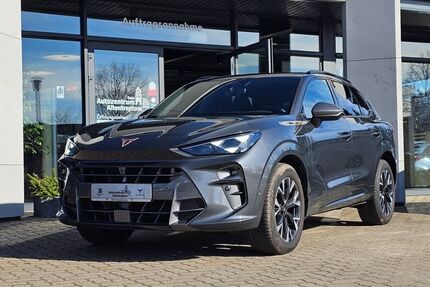 Cupra Terramar 23.569 km 38.900 &euro; Altentreptow 17087