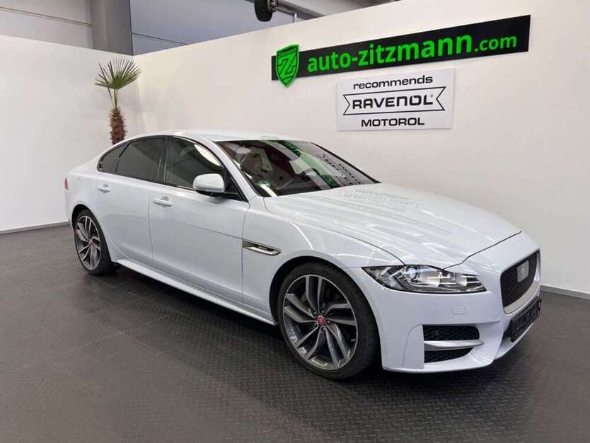 XF