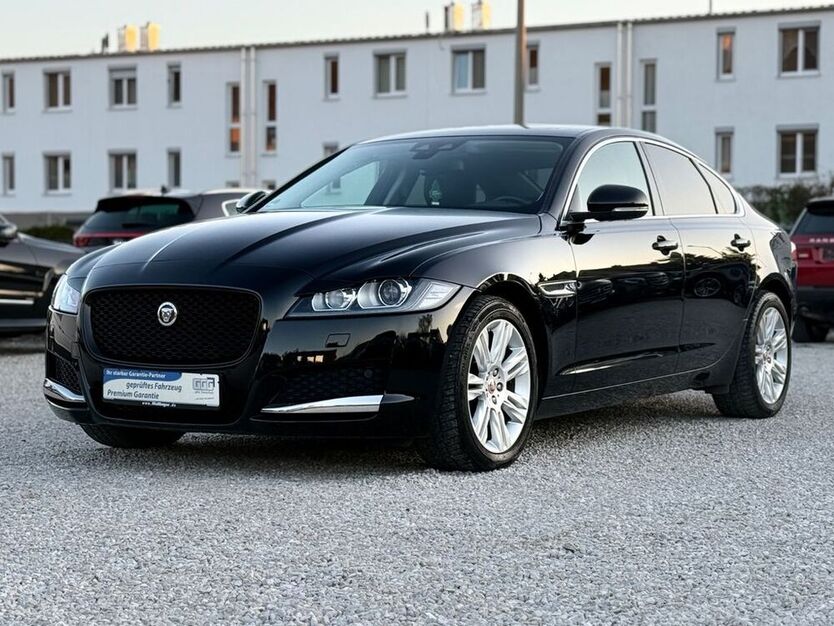 XF