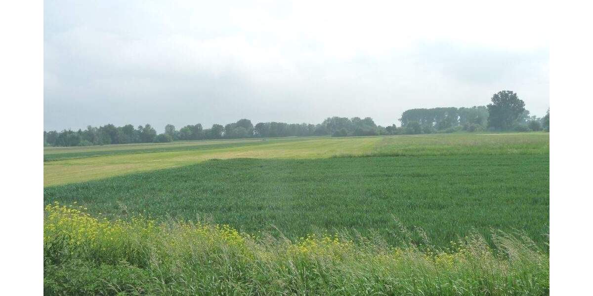 Grundstück Stephansposching Uttenhofen - 56.000&euro; | Angebot:25773085
