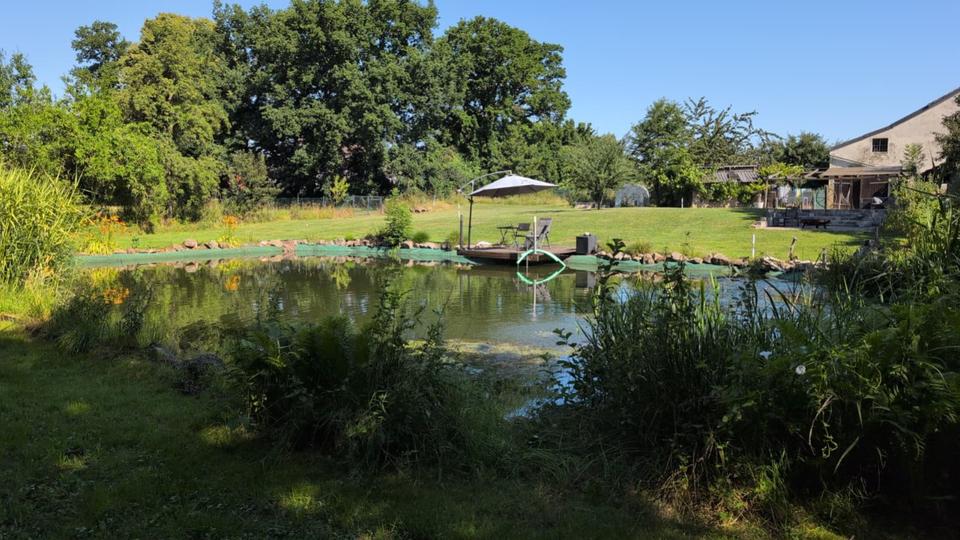 Einfamilienhaus Neuental - 398.000&euro; | Angebot:25961379