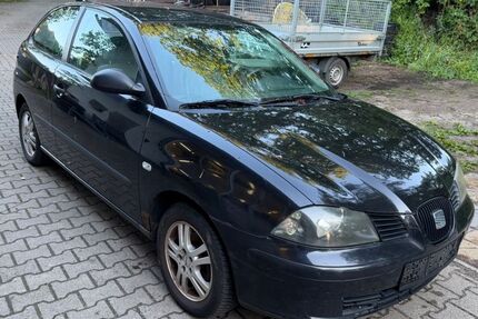 Seat Ibiza 289.162 km 1.400 &euro; Rosche 29571