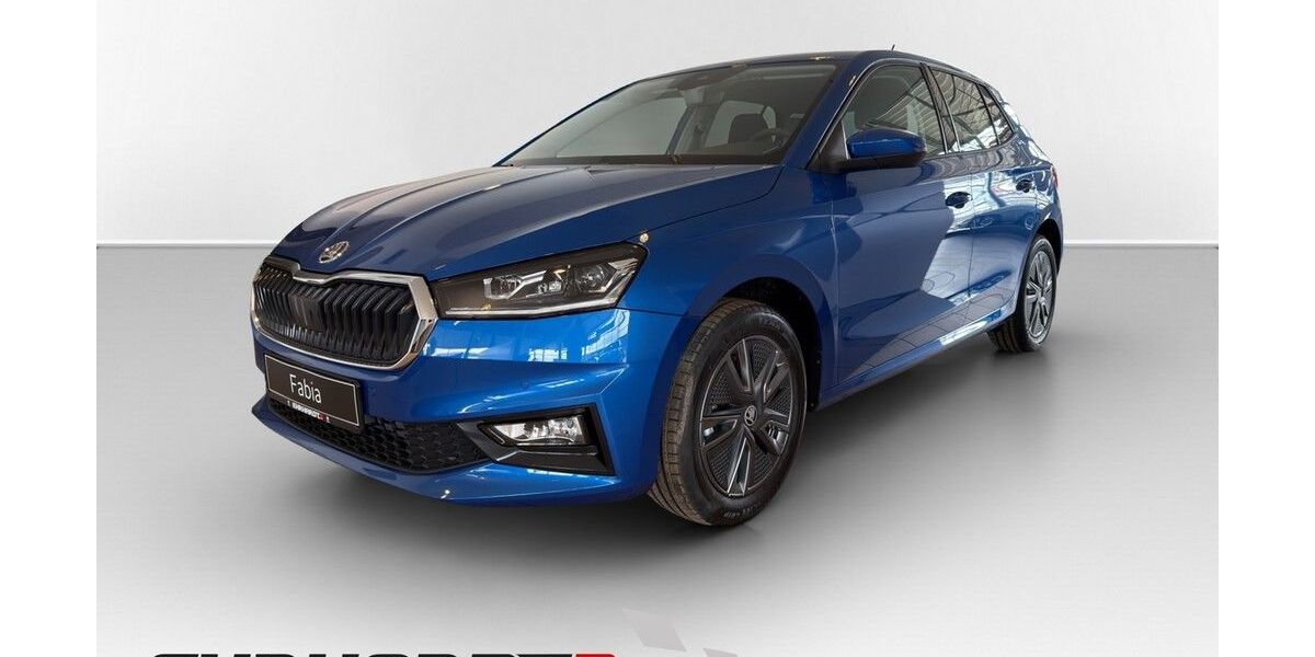Skoda Fabia 1.500 km 27.790 &euro; Hildburghausen 98646