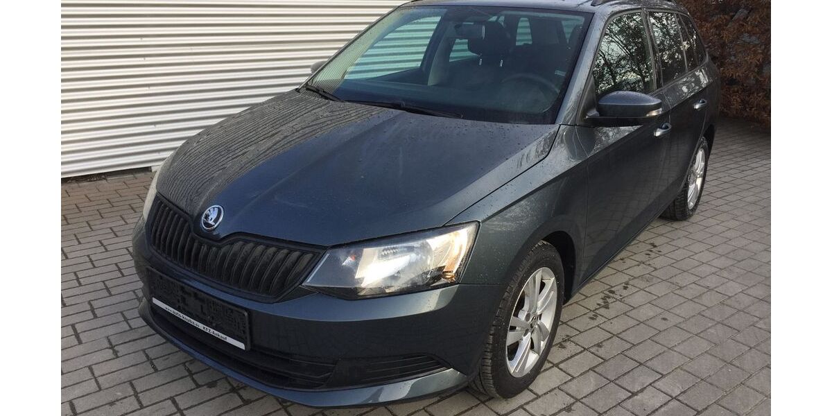 Skoda Fabia 93.925 km 7.990 &euro; Plauen 08527