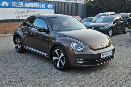 VW Beetle