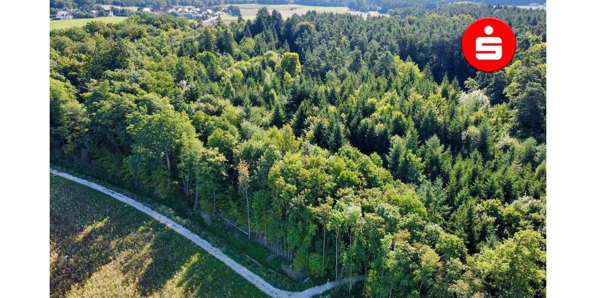 Grundstück Altdorf - 40.400&euro; | Angebot:25199012