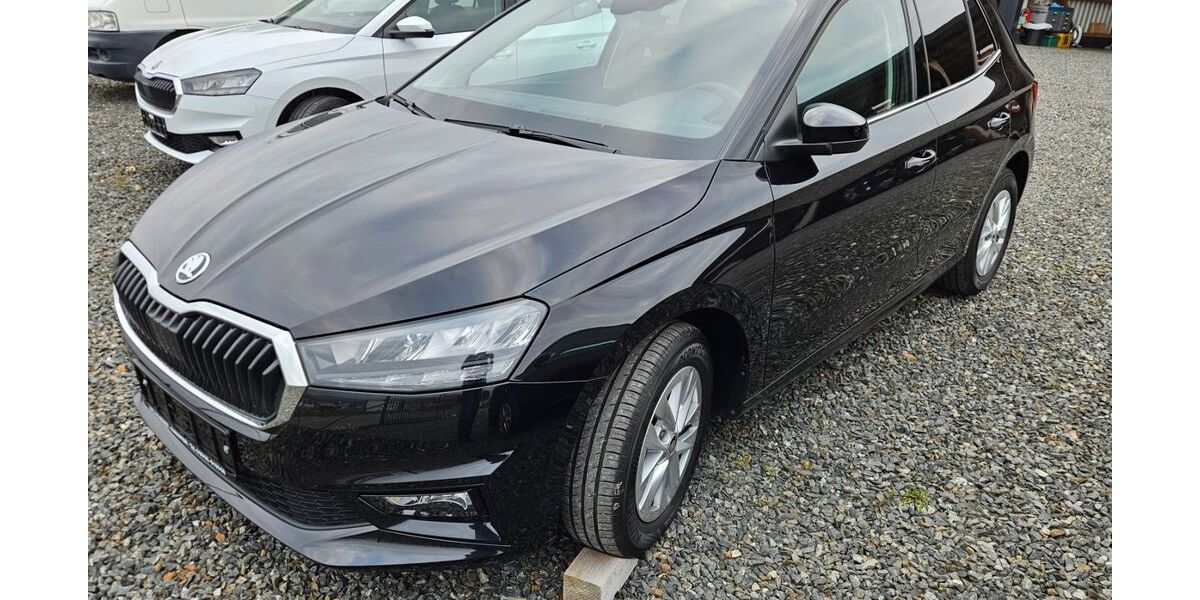 Skoda Fabia 9.500 km 18.290 &euro; Parkstein 92711