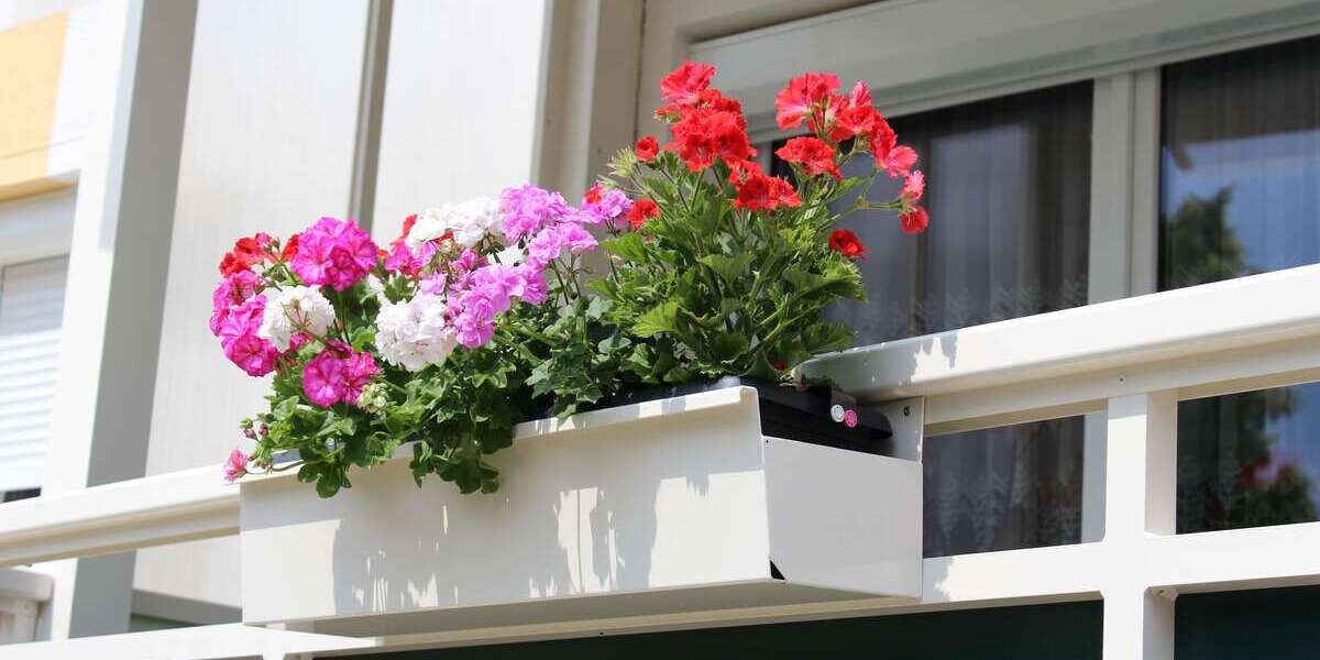 Wohnung zum Mieten in Niesky 295,20 € 41 m² 1 zimmer