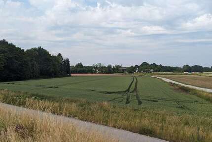 Grundstück zu verkaufen in Straubing 157.000 € 6280 m² zimmer