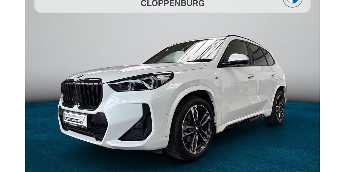 BMW X1 78.860 km 37.985 &euro; Bad Kreuznach 55543