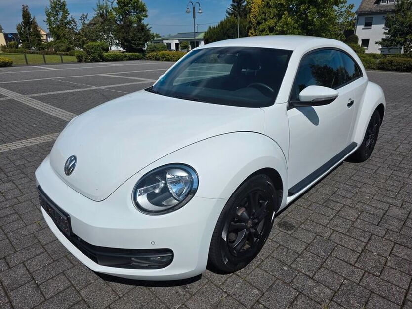 Beetle