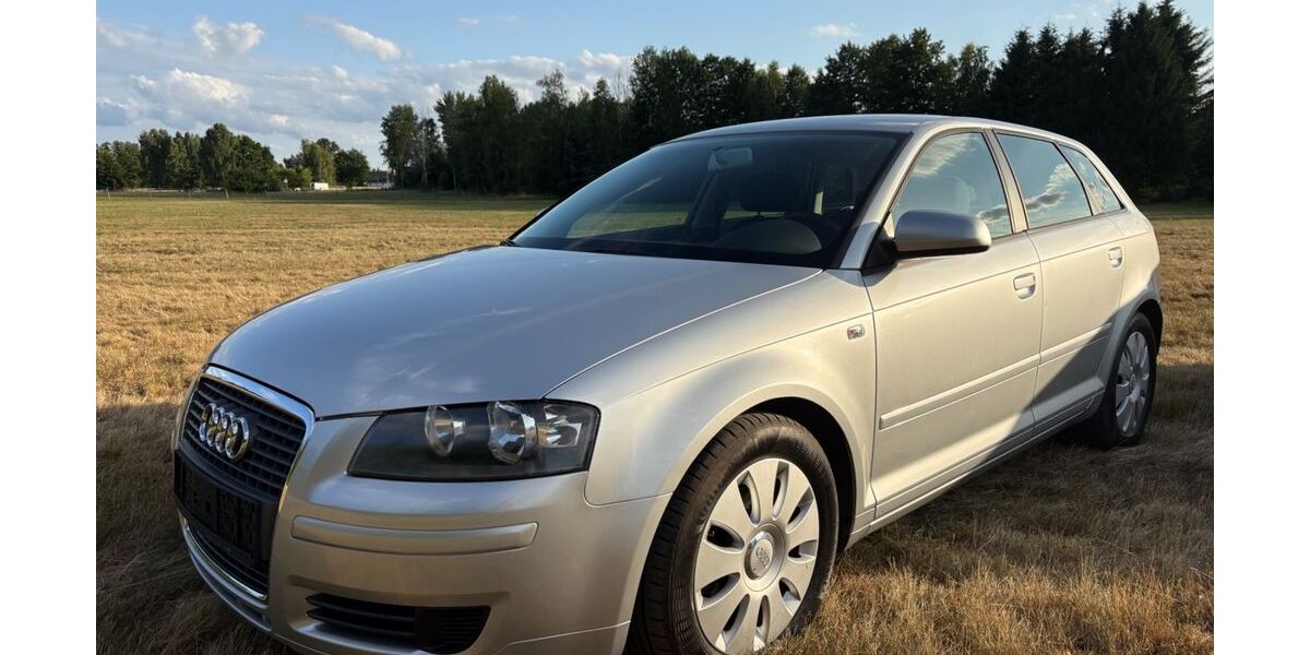Audi A3 99.000 km 6.990 &euro; Tschernitz 03130