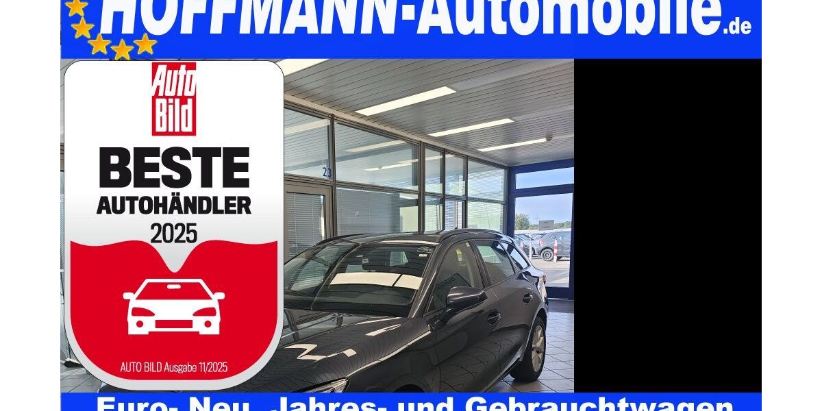 Seat Leon 114.084 km 17.900 € Wolfsburg-Heiligendorf 38444