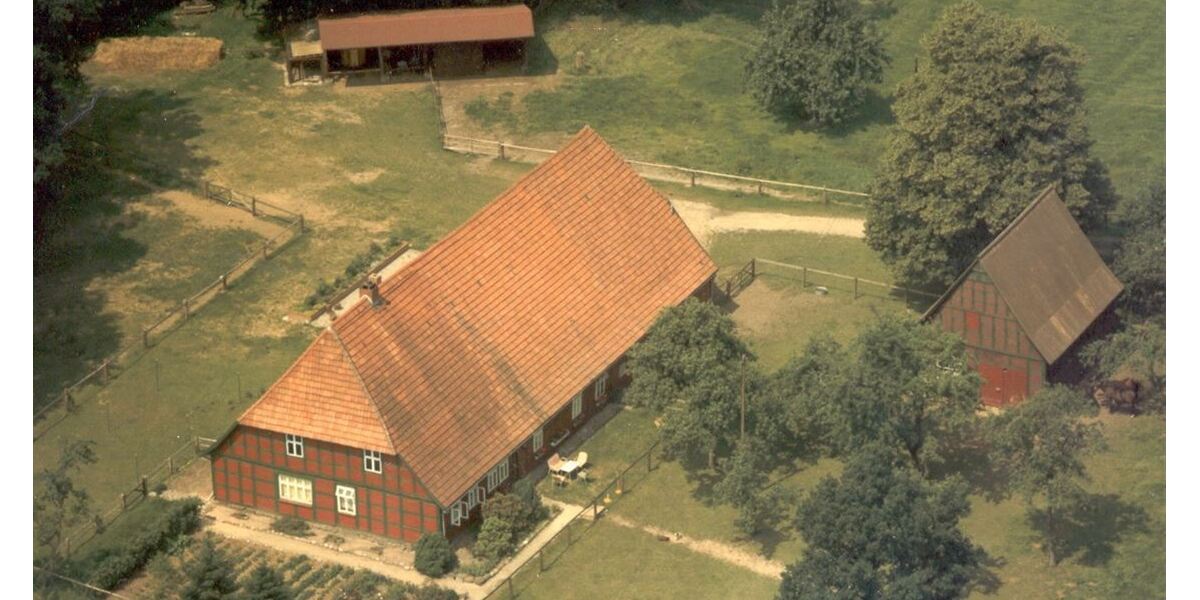 Historischer Niedersachsen- Bauernhof in Fachwerk mit Pferdeboxen u. tollen Eichenbaumbestand - Gewerbeobjekt Diepenau | Angebot:27295101
