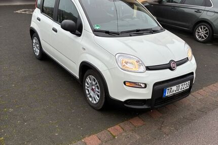 Fiat Panda 28.000 km 9.495 &euro; Oberstedem 54634