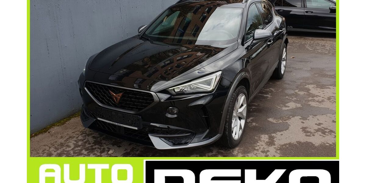 Cupra Formentor 133.858 km 23.770 &euro; Waiblingen 71332