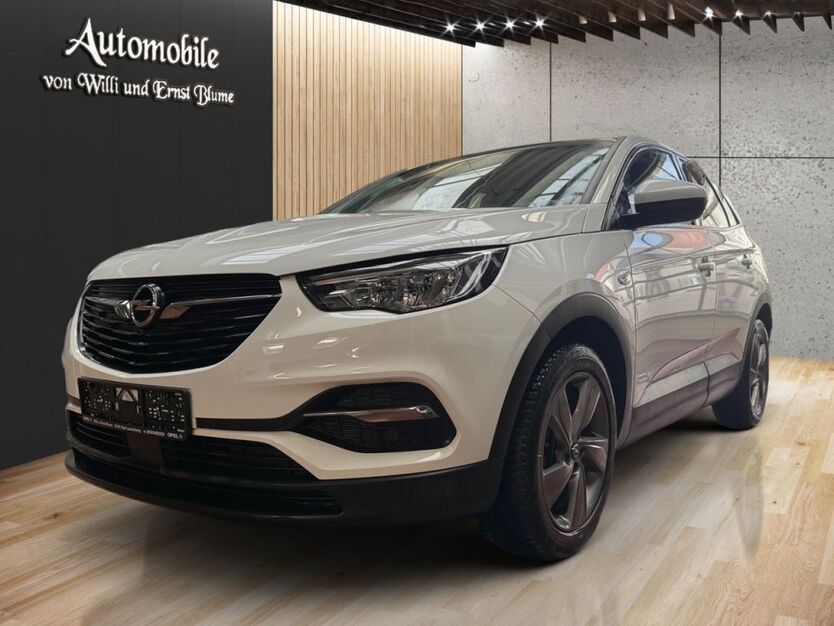 Opel Grandland (X) 73.845 km 21.590 € Bad Lauterberg 37431
