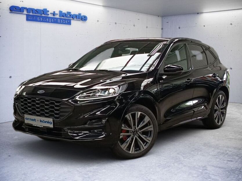 Kuga