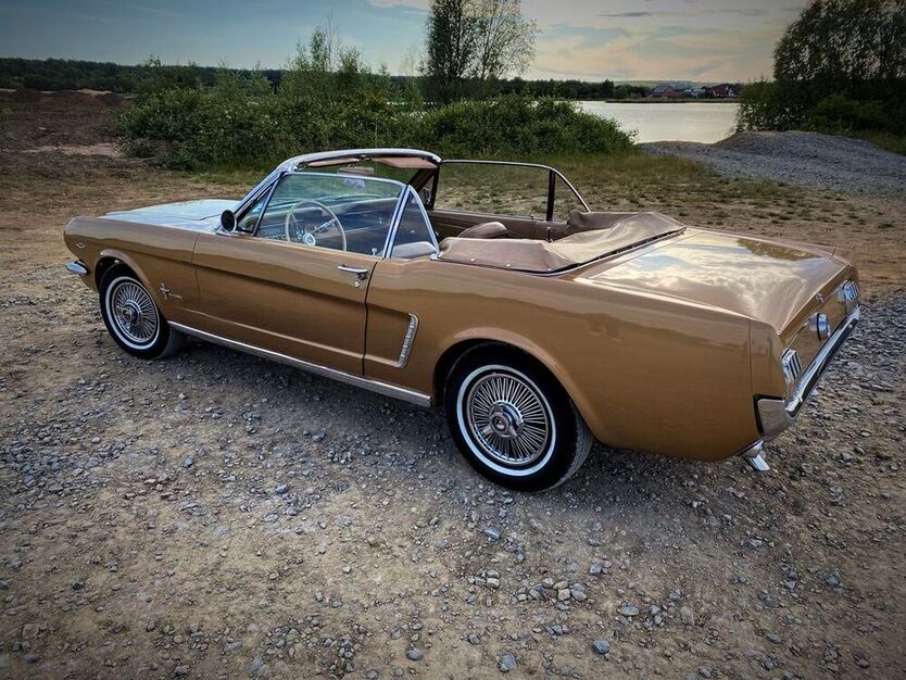 Mustang