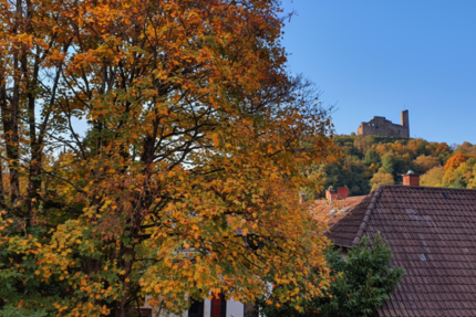 Wohnung zum Mieten in Weinheim 2.090 € 173 m² 3 zimmer