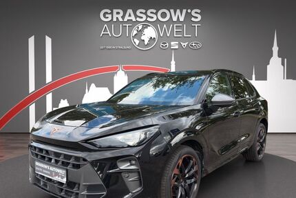 Cupra Terramar 11.000 km 45.990 € Stralsund-Langendorf 18442