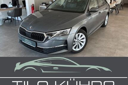 Skoda Octavia 16.937 km 28.990 &euro; Bad Düben 04849