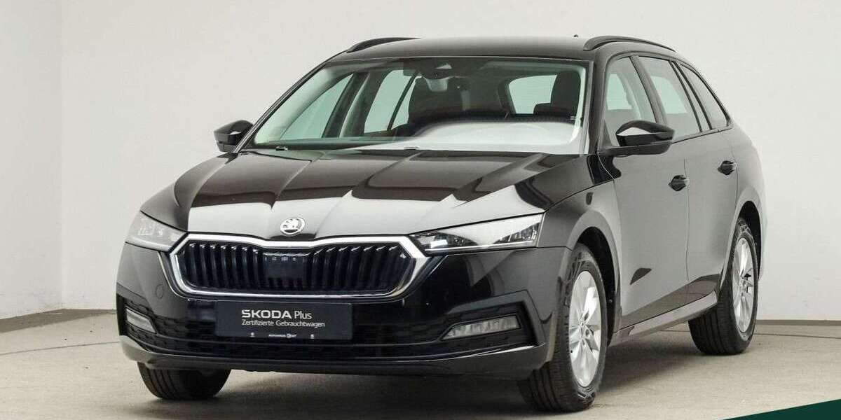 Skoda Octavia 66.600 km 21.888 &euro; Mühlheim a. Main 63165