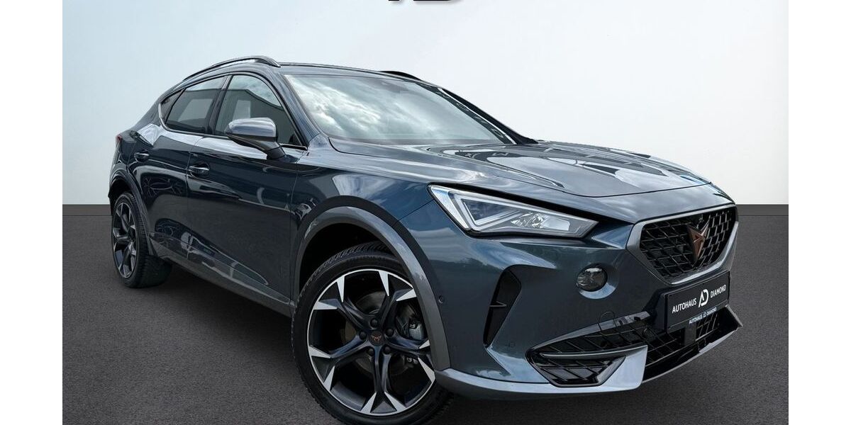 Cupra Formentor 53.400 km 25.999 &euro; Diemelstadt 34474
