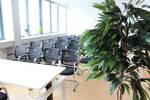 Gewerbeobjekt Offenburg Weststadt - 150&euro; | Angebot:25755854