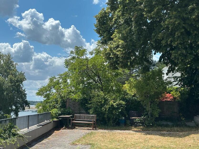 Exklusive Rarität direkt am Rhein -Wohnen mit unverbaubarem Blick