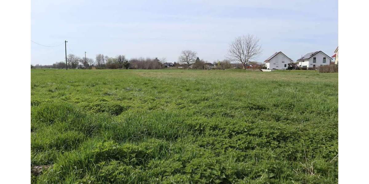 Grundstück in Burkheim 135.000 € 3272 m² zimmer