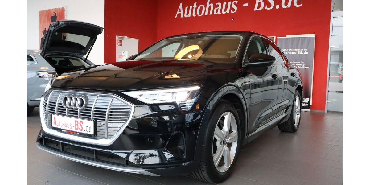 Audi e-tron 48.852 km 31.650 &euro; Braunschweig 38116
