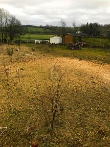 PERFEKT FÜR FAMILIEN UND OSTSEELIEBHABER zimmer