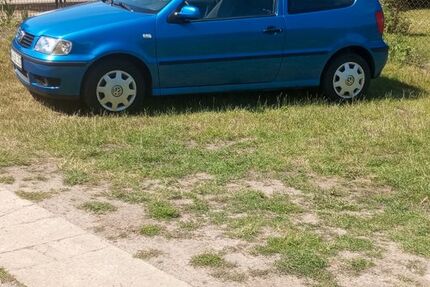 VW Polo 166.400 km 1.200 &euro; Neuruppin 16816