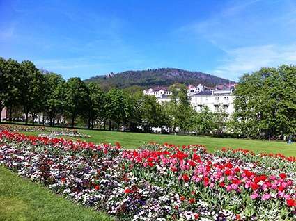 Gewerbeobjekt Baden-Baden Baden - 10.000.000&euro; | Angebot:27080897