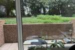 Eigentumswohnung in Köln Deutz mit separatem Appartement im Souterrain - Wohnfläche 114 m² 4 zimmer
