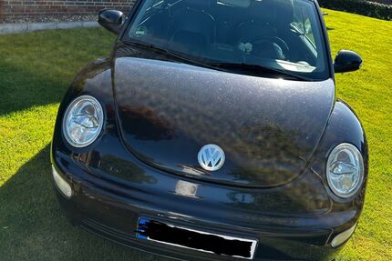 VW Beetle
