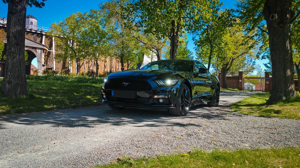 Ford Mustang 105.000 km 24.500 &euro; Bad Dürrenberg 06231
