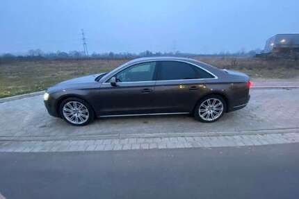 Audi A8 173.000 km 21.950 &euro; Horn (Hamburg) 22119