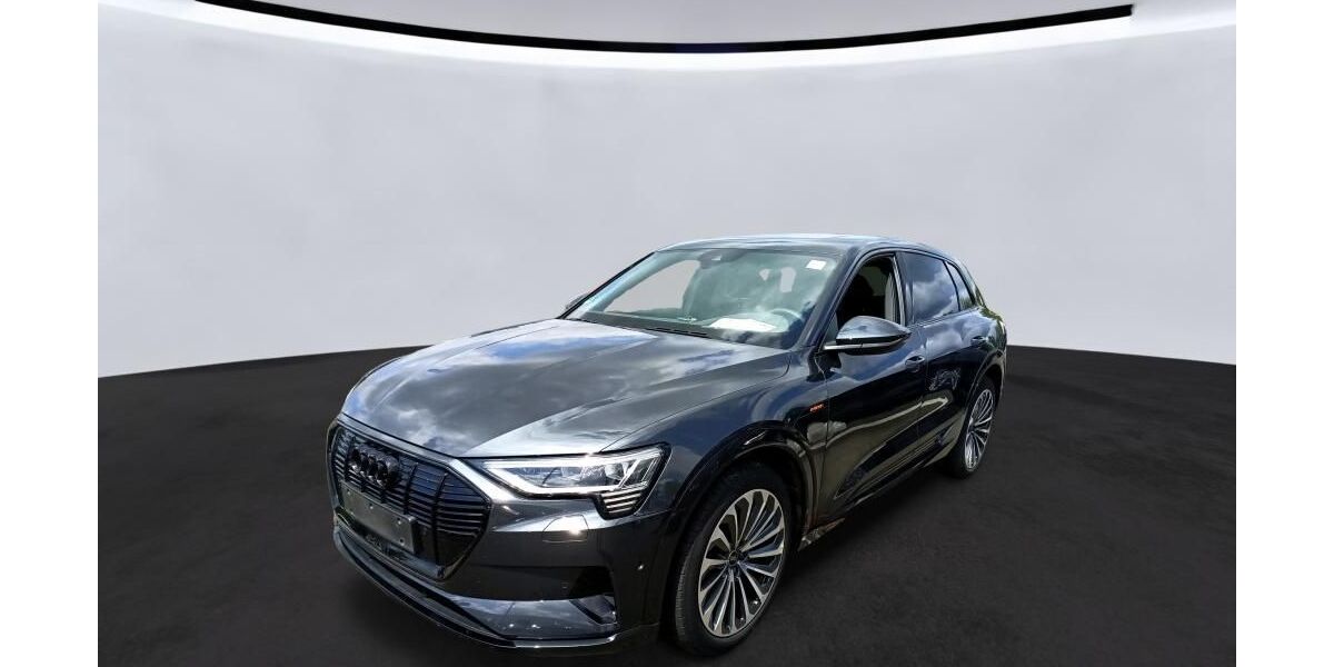 Audi e-tron 65.481 km 34.990 &euro; Hamburg 22047