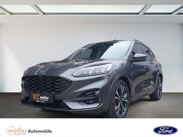 Kuga