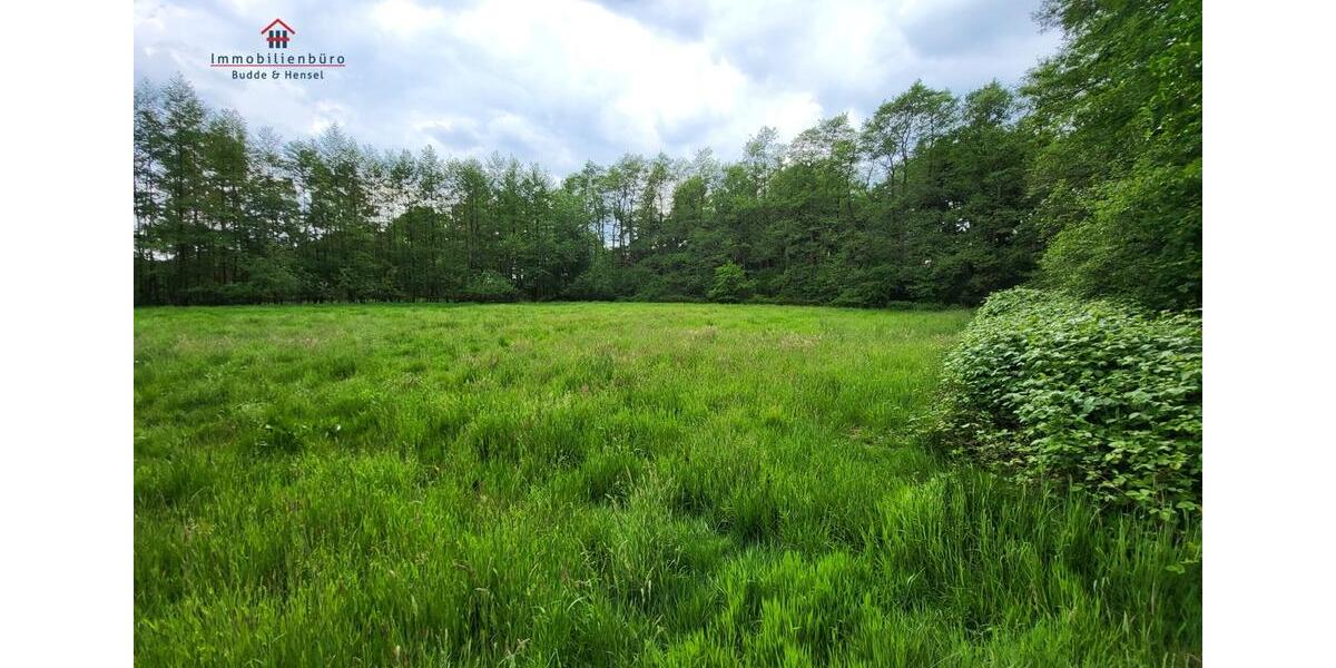 Grundstück Friesoythe - 420.000&euro; | Angebot:19599712