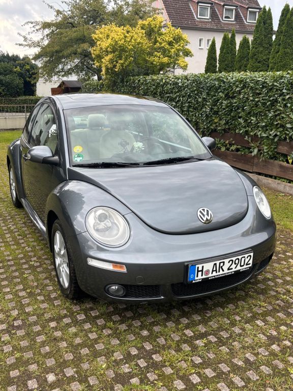 Beetle
