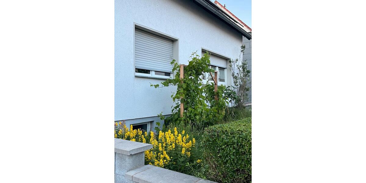 Einfamilienhaus Mandelbachtal - 8.5 Zimmer, 341 m&sup2;, 495.000&euro; | Angebot:27027316
