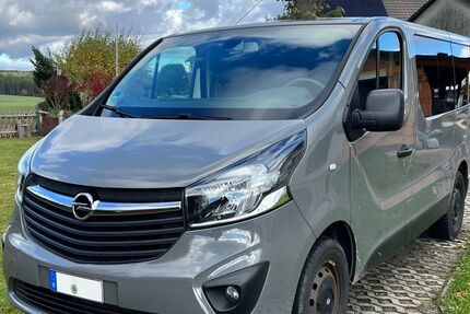 Opel Vivaro 96.000 km 16.999 &euro; Schneeberg 08289
