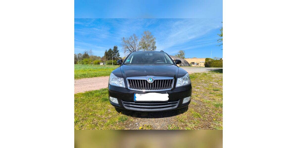 Skoda Octavia 221.000 km 4.600 &euro; Dessau-Roßlau 06846