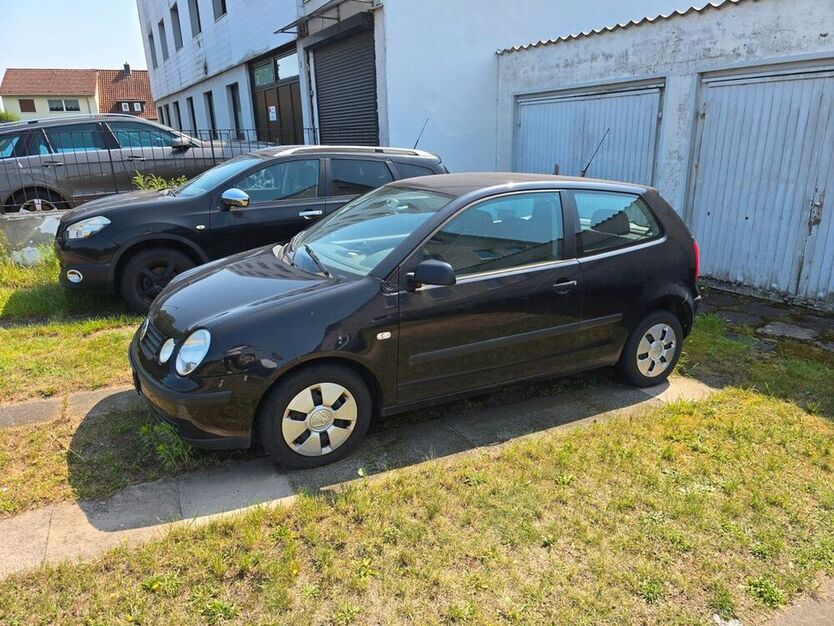 Polo
