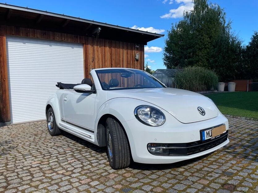 Beetle