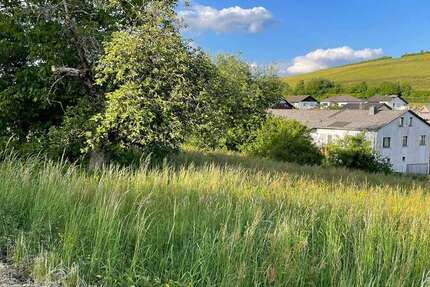 Grundstück zu verkaufen in Burbach 22.000 € 489 m² zimmer