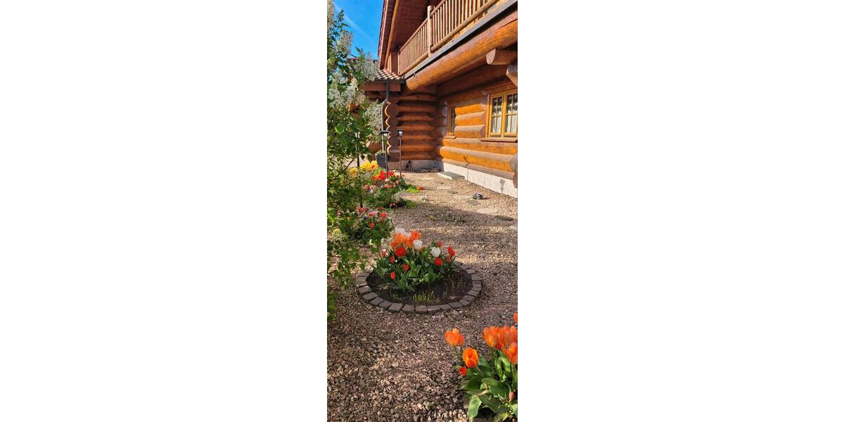 Einfamilienhaus Malborn - 6 Zimmer, 200 m&sup2;, 599.000&euro; | Angebot:26368373